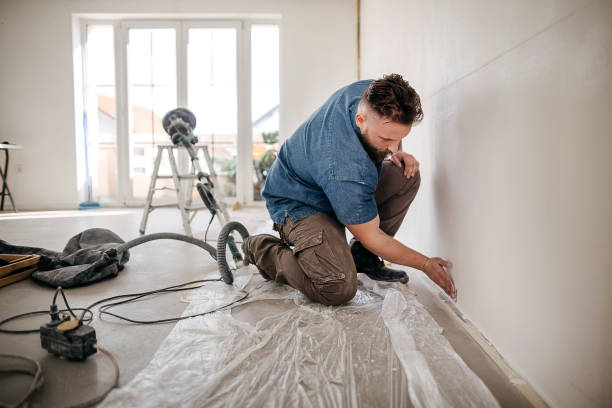 Best Fire-Damaged Drywall Repair  in Otsego, MN